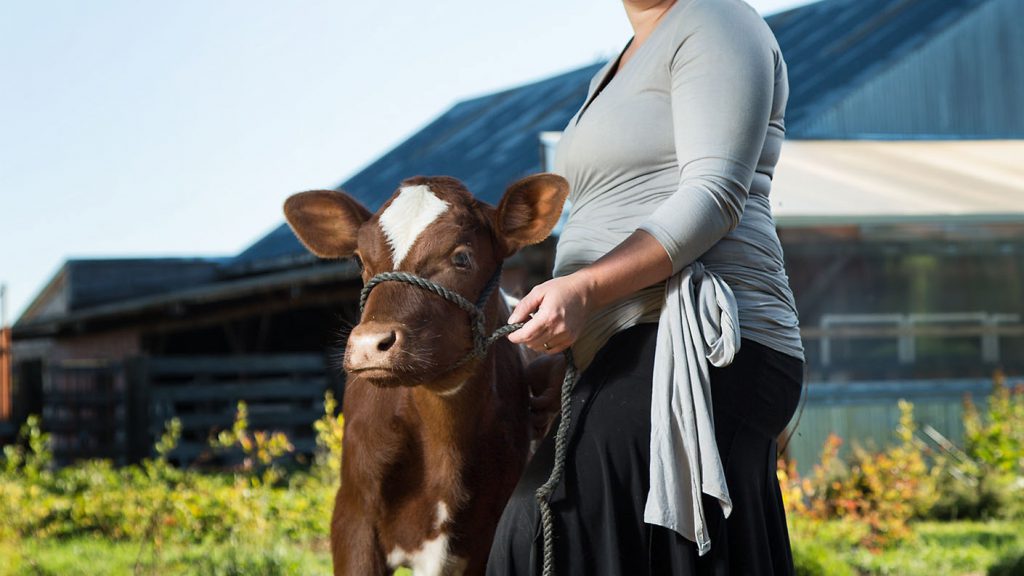 Got Free Speech? Oregon Dairy Farmer Challenges Censorship of Raw Milk Advertising