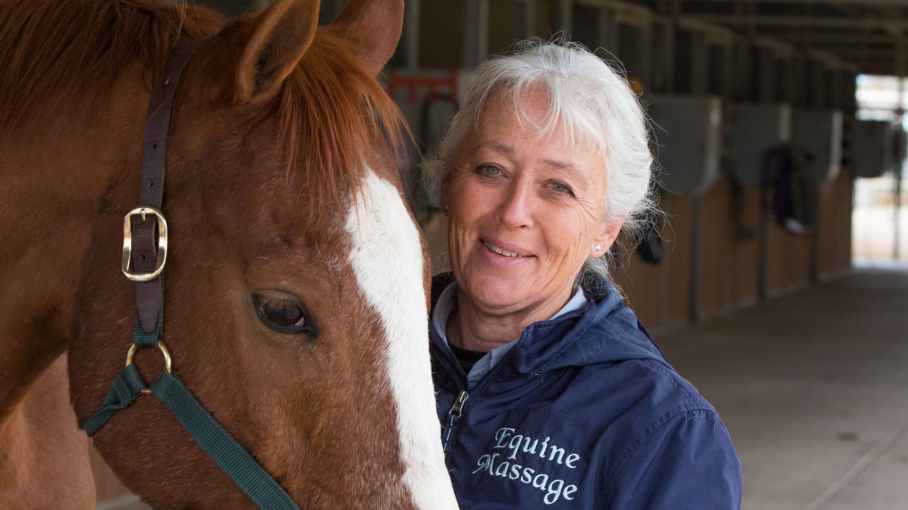 IJ client Celeste Kelly spent hundreds of hours learning about horses in order to obtain private certifications in animal massage. But now the state of Arizona is forcing her to become a licensed veterinarian to continue practicing her craft.