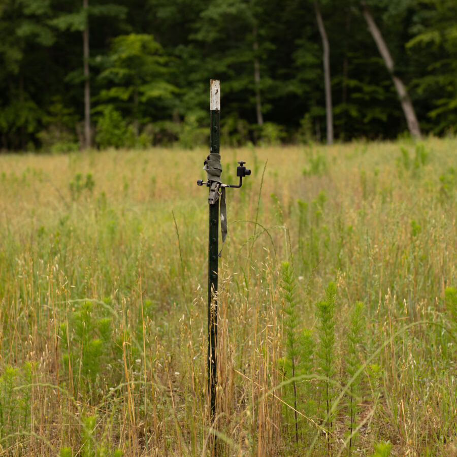 virginia-open-fields-institute-for-justice