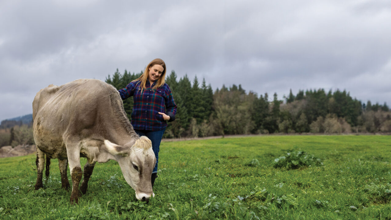Sarah King’s small dairy farm practices regenerative farming, where her cows spend their time at pasture and their waste nourishes the grass.