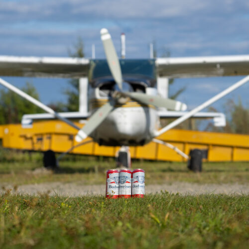 Cans of Budweiser on grass in front of a small crop-duster plane, referencing an Alaska plane seizure