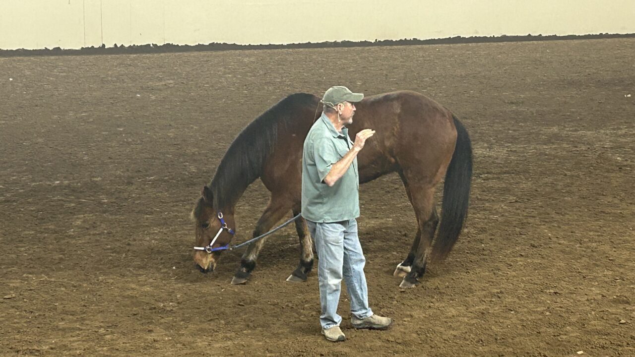 Jim Masterson challenged burdensome regulations preventing him from teaching his renowned method for equine care to willing students.