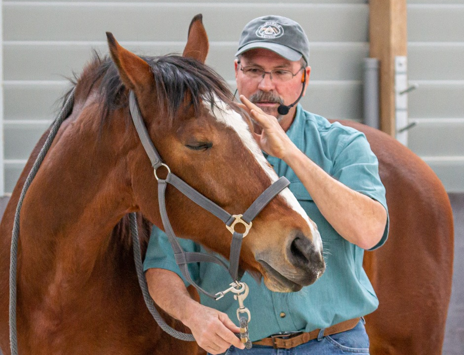 Man wearing headset microphone petting a brown horse with white facial marking wearing a halter in an indoor facility