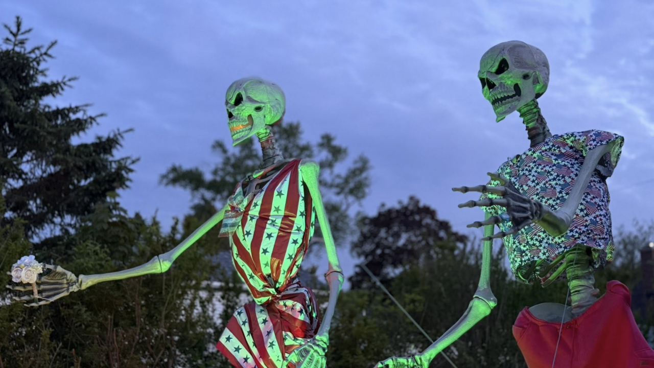 Giant Skeletons in South Milwaukee yard