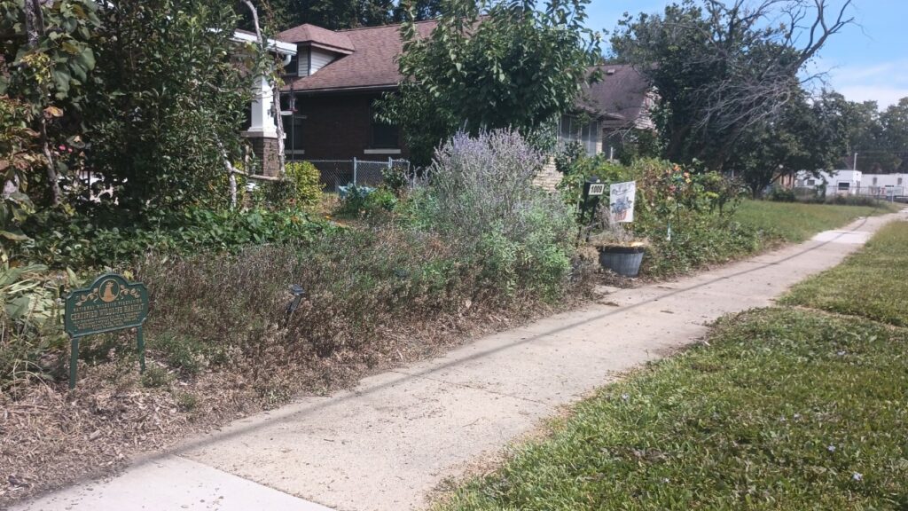 Sidewalk beside a certified wildlife habitat garden in Jeremy Boggess and Kristi Church's front yard