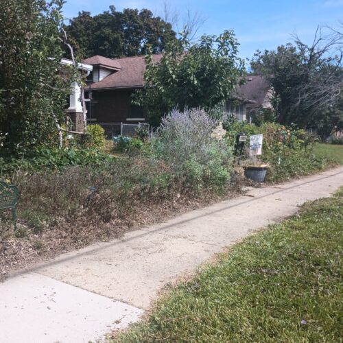 Victory! Danville Confirms Award-Winning Garden Complies with Local Code After IJ Letter