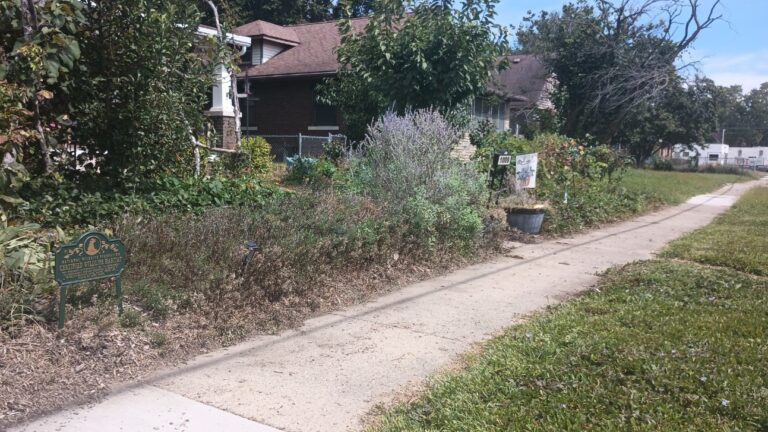 Sidewalk beside a certified wildlife habitat garden in Jeremy Boggess and Kristi Church's front yard